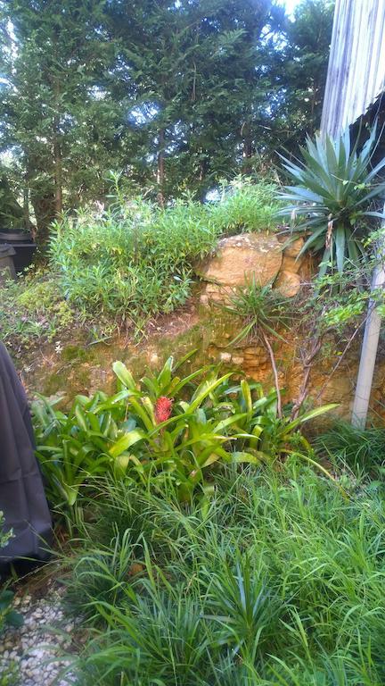 Linley House Bed & Breakfast Sydney Exterior foto